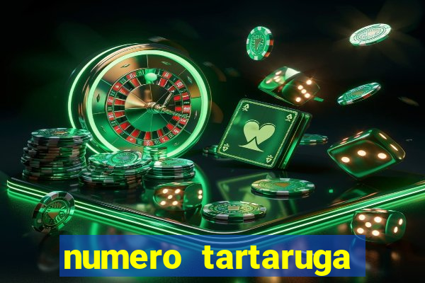 numero tartaruga jogo do bicho